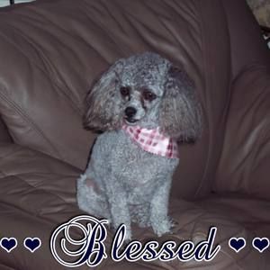 Meet your Posher, Jo